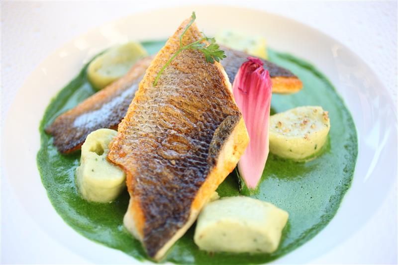 25_02_Stockbild_ Fisch.jpg